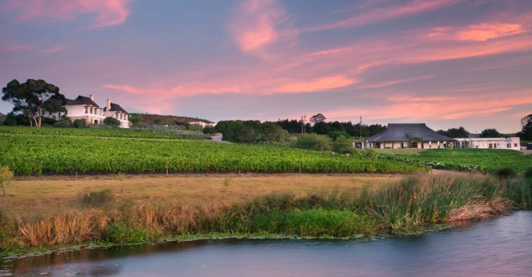 Bouchard Finlayson Winery and Cellars Experience - Hermanus