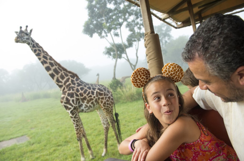 Disney's Animal Kingdom Theme Park - A girl spots a giraffe on tour