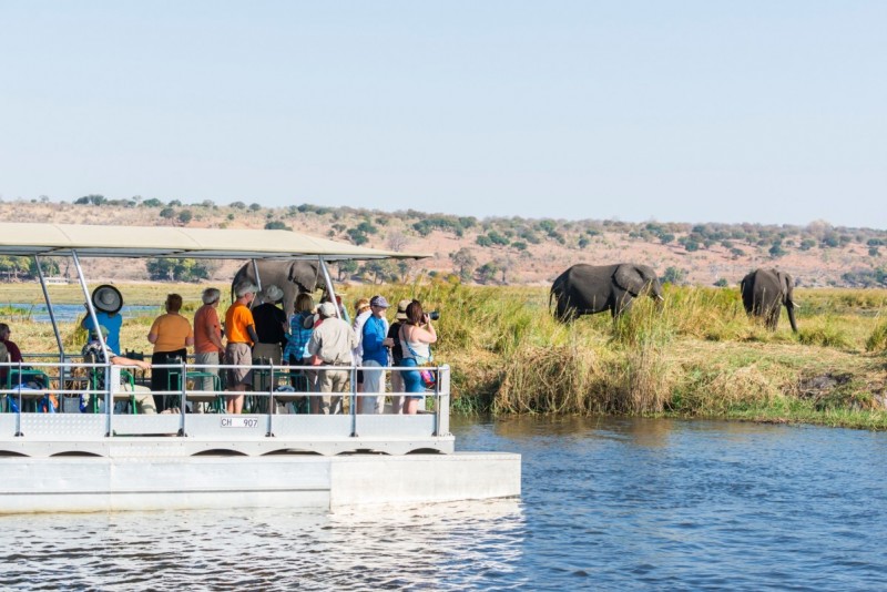 Chobe Marina Lodge outing