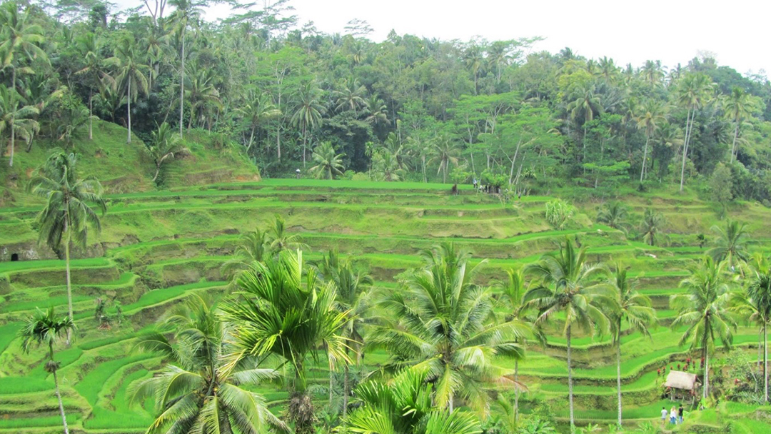 bali-ubud