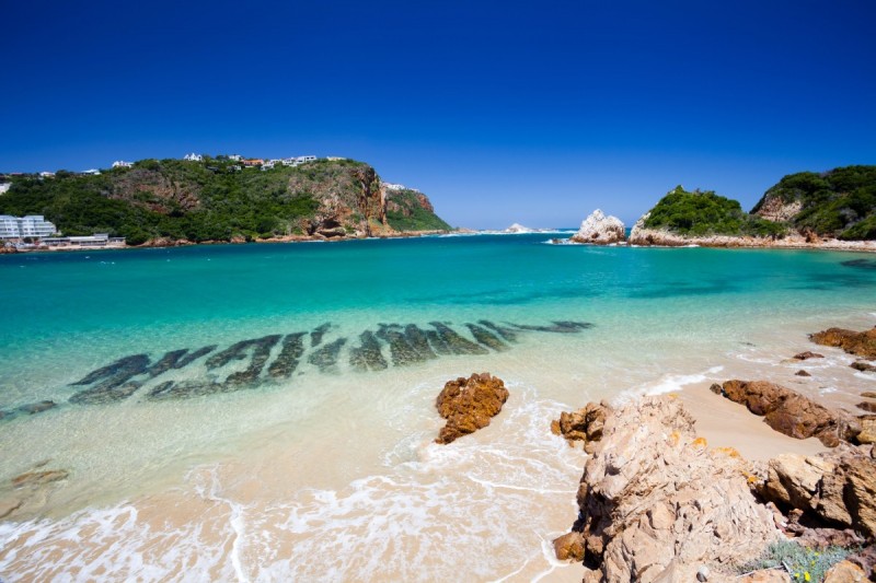 Knysna Featherbed Nature Reserve Lagoon 3