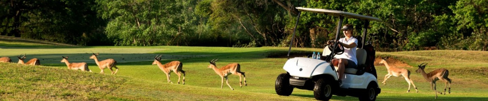 4* Kruger Park Lodge - Hazyview Package (2 Nights)