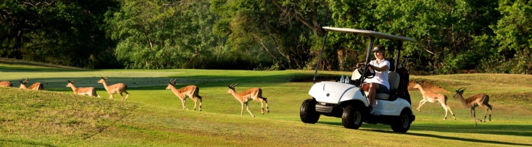 4* Kruger Park Lodge - Hazyview Package (2 Nights)