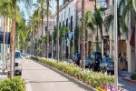 Los Angeles California USA Palm trees and flower beds on Rodeo Drive in Beverly Hills in Hollywood iStock 1333434849 1920x600