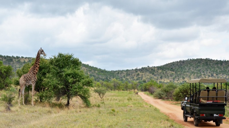 Mabula Game Lodge   Safari 1 1920x1080