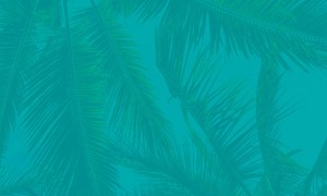Noimage banner 4b