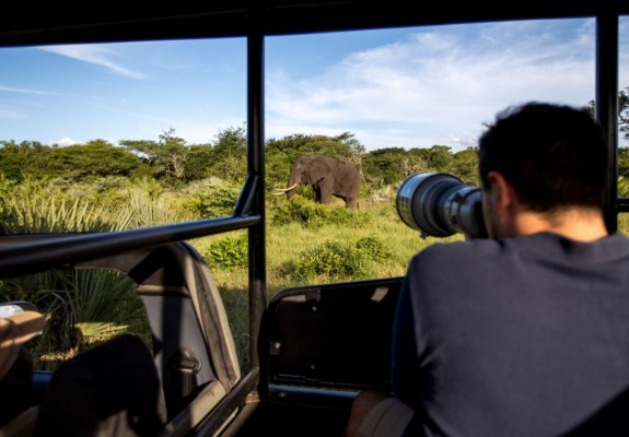 Royal Thonga Safari Lodge -Tembe Elephant Park - Kwa-Zulu Natal Package (2 nights)