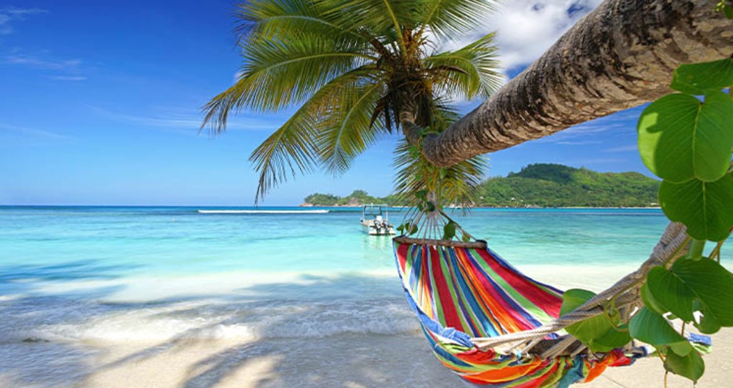 Seychelles beach and hammock
