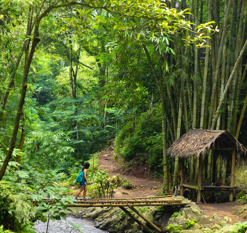 Bali hiking