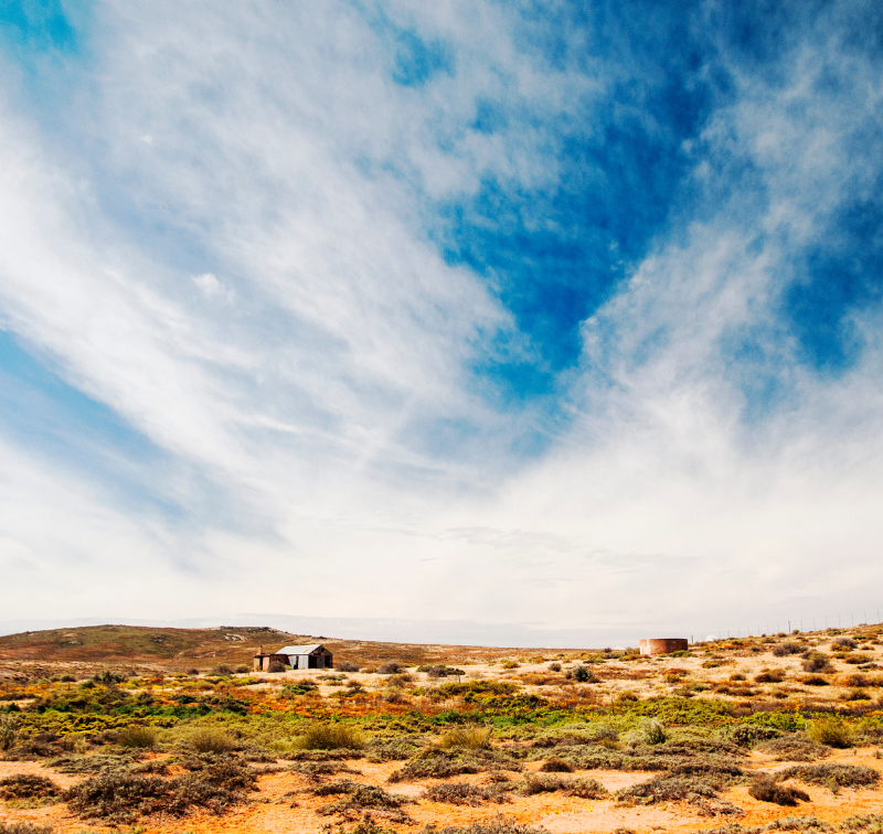 Namaqualand