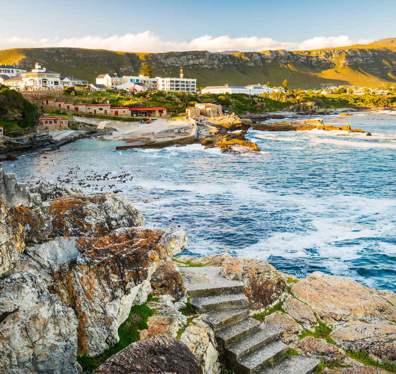 Hermanus