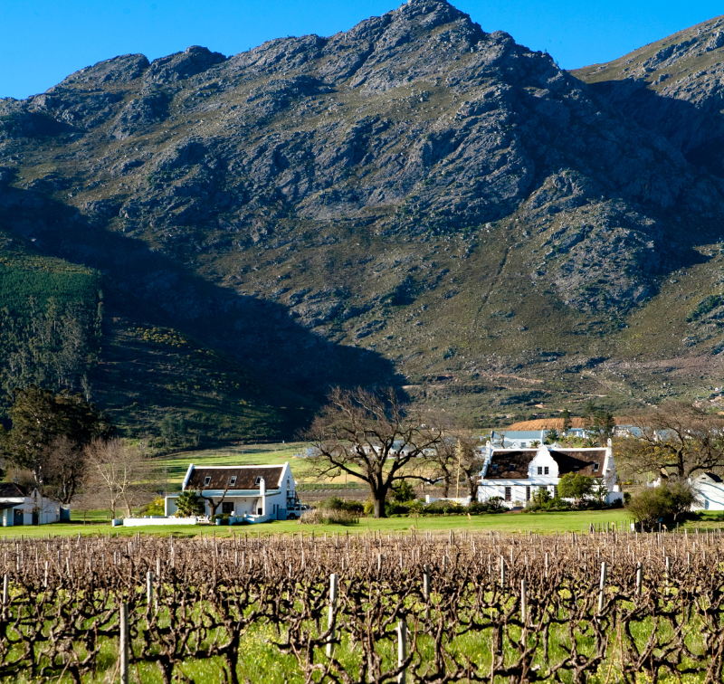 Franschhoek