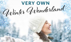 15827 TH SA Winter Wonderland Mailer 01