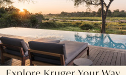 17627 TH Kruger Mailer with banner 01