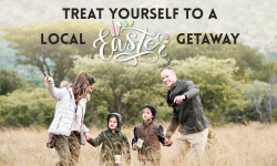 17676 TH SA Easter Mailer with banner 01