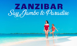 17689 TH Zanzibar Mailer with banner 01