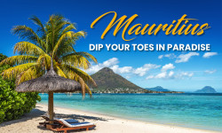 17692 TH MRU Mailer with banner 01