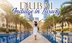 17766 TH Dubai Mailer with banner 01