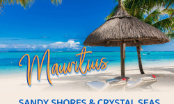 17846 TH MRU Mailer with banner 01