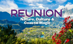 17875 TH Reunion Mailer with banner 01