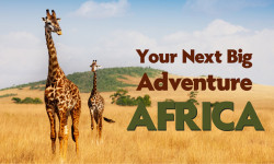 18017 TH Africa Mailer with banner 01