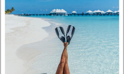 18041 TH Maldives   Plan Hotels Mailer with banner 01