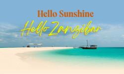 18097 TH Zanzibar Mailer with banner 01