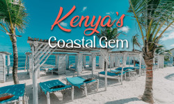 18131 TH Kenya Mailer with banner 01