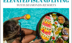 18227 TH Plan   Diamonds Resorts Mailer with banner 01