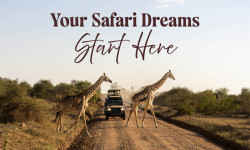 18248 TH SA Bush Mailer with banner 01