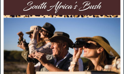 18254 TH SA Bush Mailer with banner 01