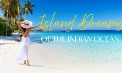 18262 TH IOI Mailer with banner 01