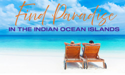 18272 TH IOI Mailer with banner 01