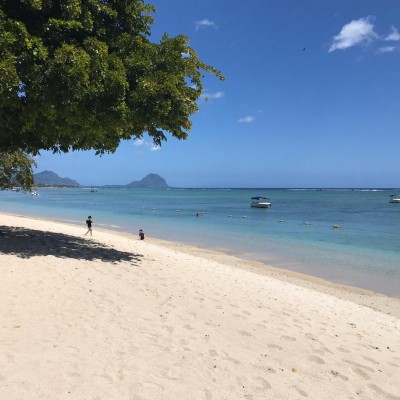 White Beaches
