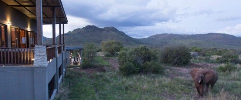 5* aha Shepherd's Tree Game Lodge - Pilanesberg Package (2 Nights)