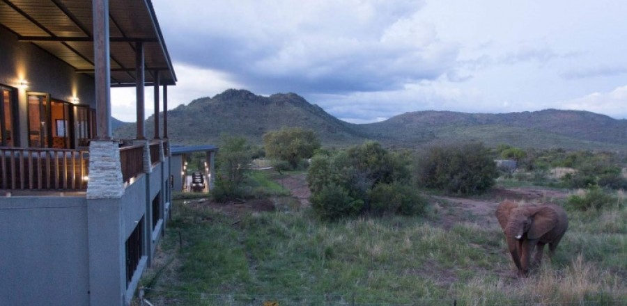 5* aha Shepherd's Tree Game Lodge - Pilanesberg Package (2 Nights)