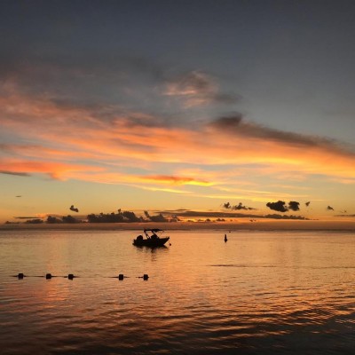 Beautiful Sunsets