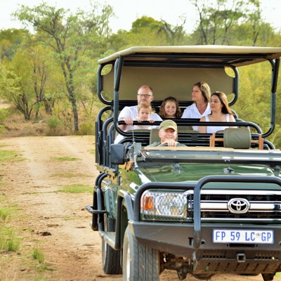Morning Game Drive