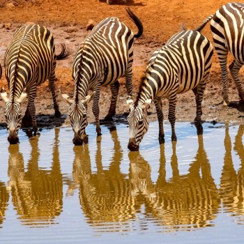 Africa 2048 x 1152