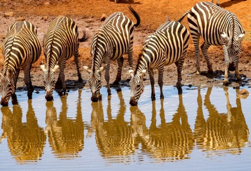 Africa 2048 x 1152