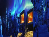 Arctic TreeHouse Hotel Northern Lights banner