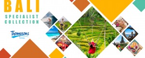 Bali Brochure website cover