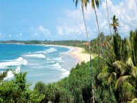 Beach palms and turquoise water Bentota Sri Lanka banner iStock 156791833