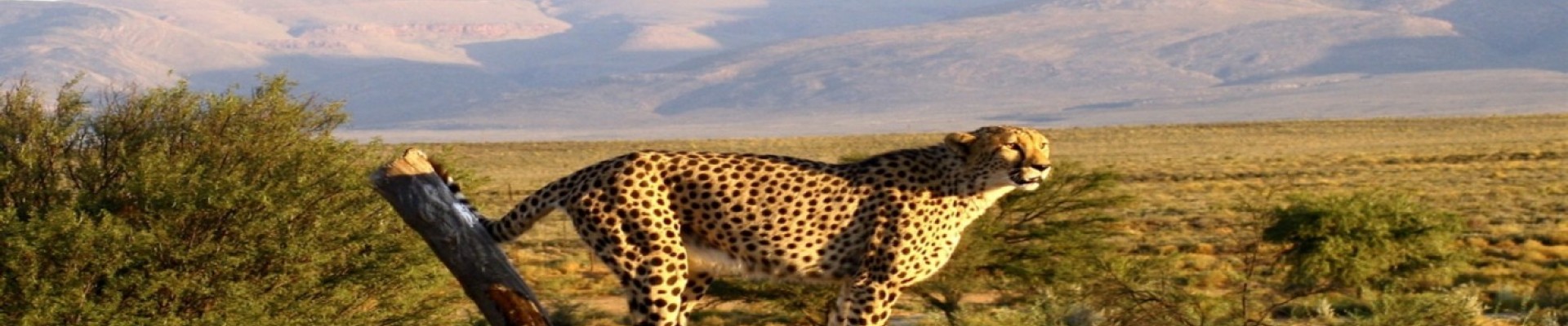 Lower Sabie Rest Camp - Kruger National Park Package (2 nights)