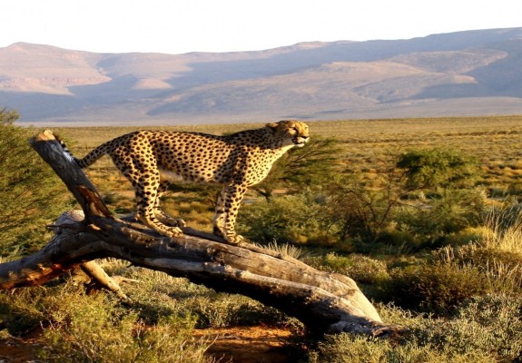 Lower Sabie Rest Camp - Kruger National Park Package (2 nights)