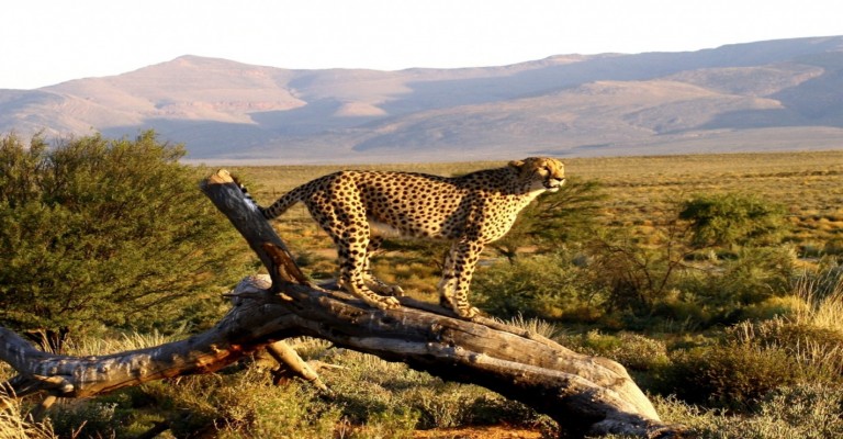 Lower Sabie Rest Camp - Kruger National Park Package (2 nights)