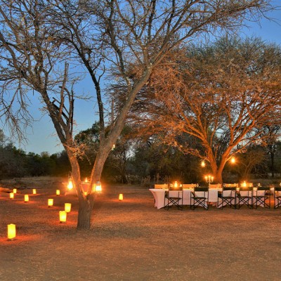 Bush Dinner