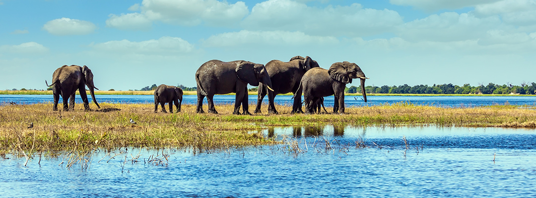 Chobe National Park