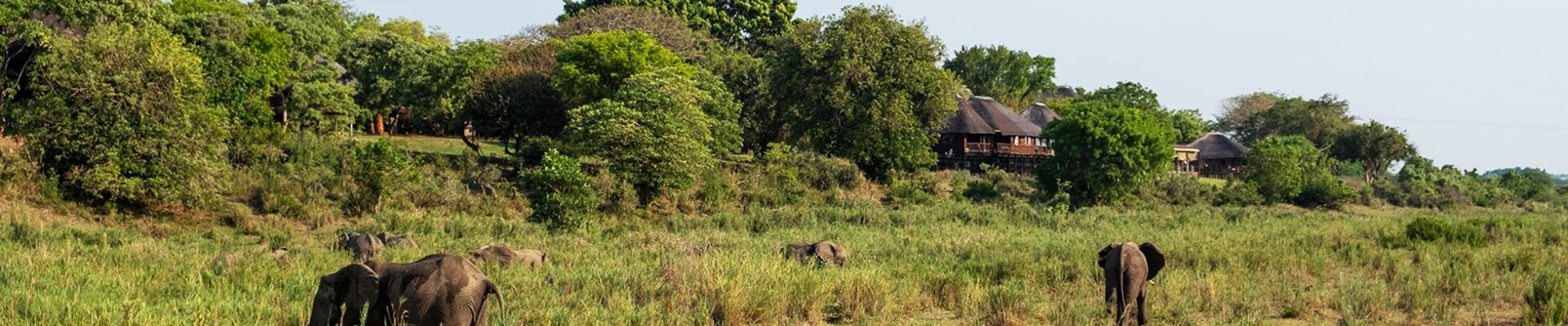Elephant Walk Retreat - Self-Catering Kruger National Park Package (2 Nights)
