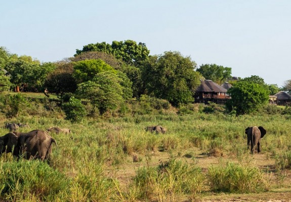 Elephant Walk Retreat - Self-Catering Kruger National Park Package (2 Nights)